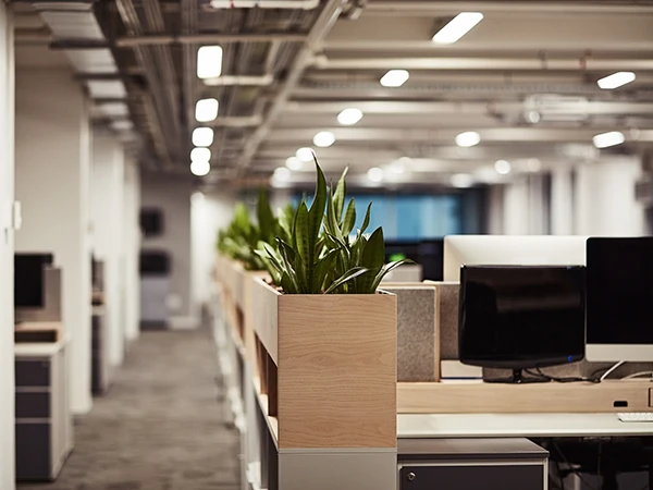 Bright modern office space